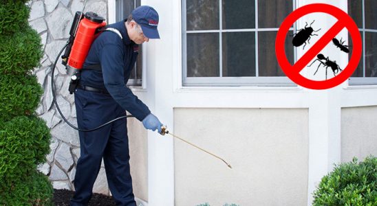 19 Mayıs Dezenfeksiyon böcek ilaçlama ve haşere kontrolü — ilaclama-tr.com